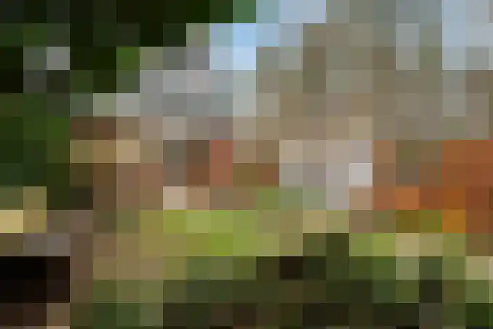 Klaverlaan 30 Ermelo thumbnail 45