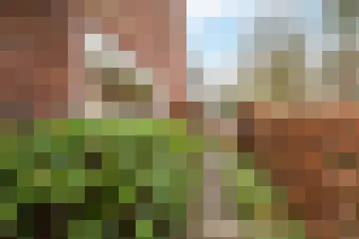 Klaverlaan 30 Ermelo thumbnail 46