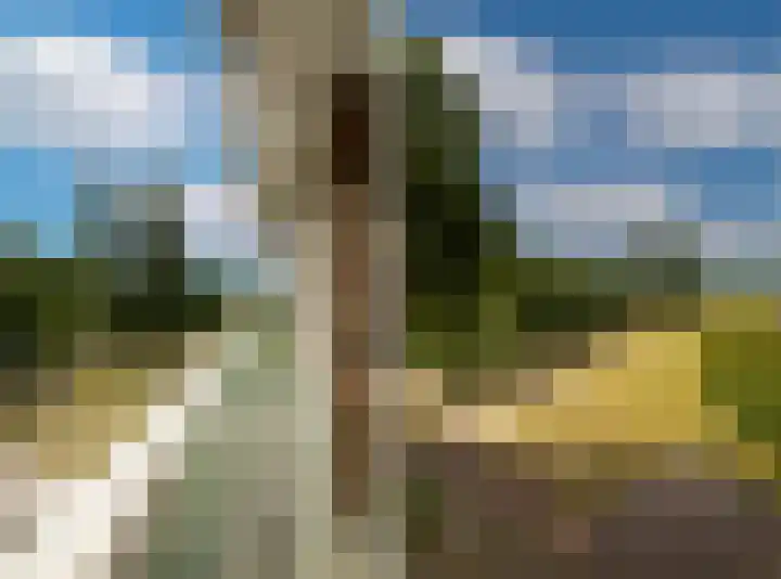 Klaverlaan 40 Arnhem thumbnail 26