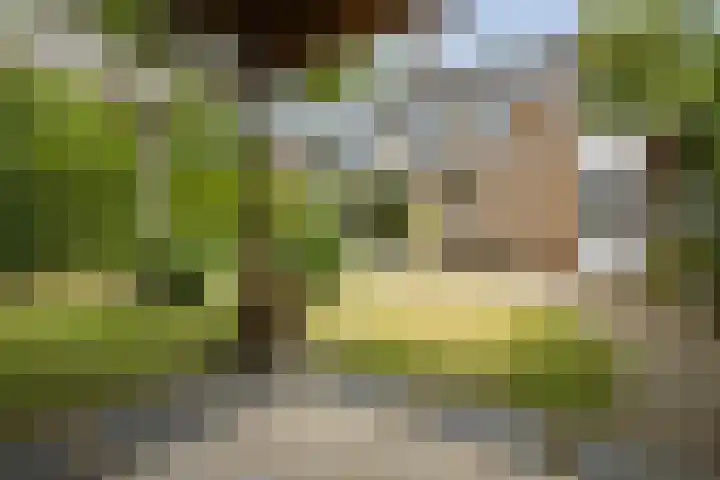 Klaverlaan 42 Haren Gn thumbnail 37