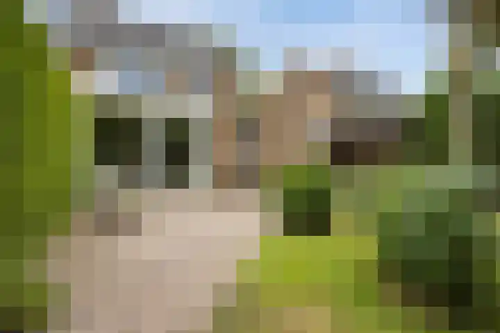 Klaverlaan 42 Haren Gn thumbnail 38