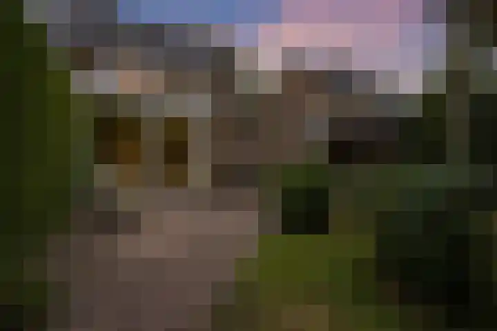 Klaverlaan 42 Haren Gn thumbnail 43