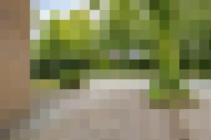 Klaverlaan 42 Haren Gn thumbnail 6