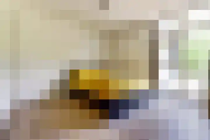 Klaverlaan 6 Arnhem thumbnail 12