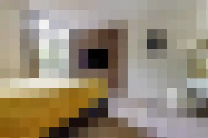 Klaverlaan 6 Arnhem thumbnail 13