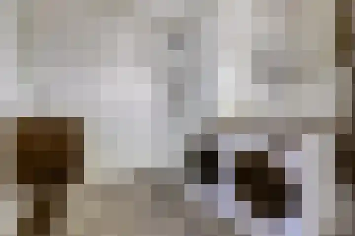 Klaverlaan 6 Arnhem thumbnail 20
