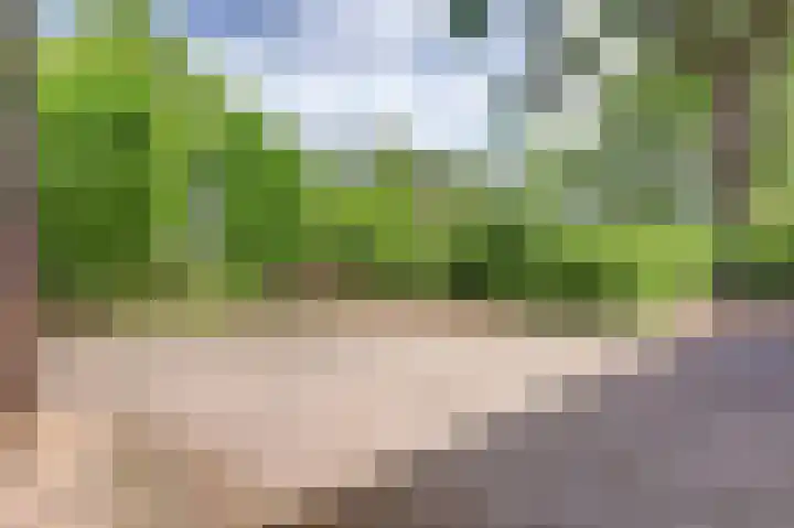 Klaverlaan 6 Arnhem thumbnail 25