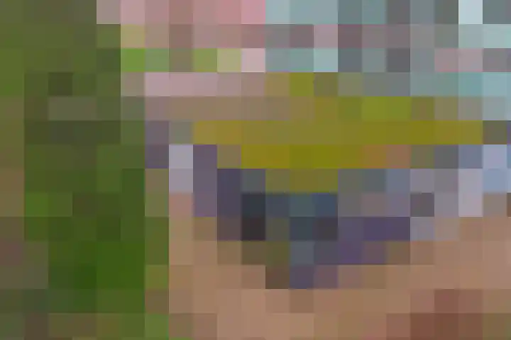 Klaverlaan 6 Arnhem thumbnail 30