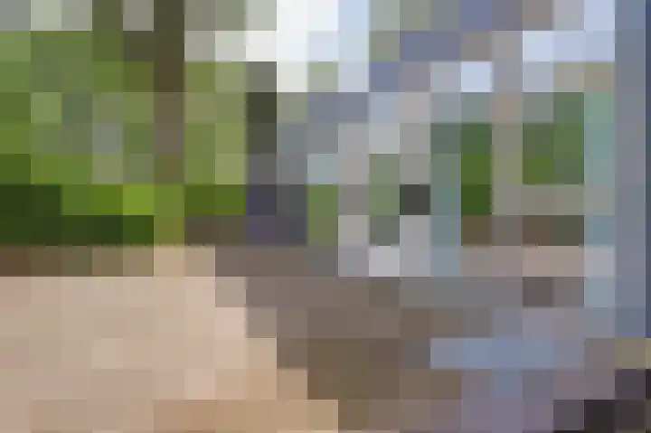 Klaverlaan 6 Arnhem thumbnail 33