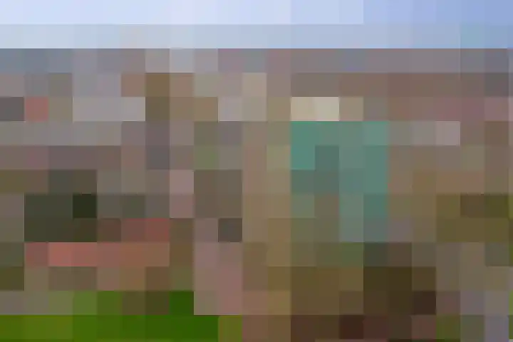 Klaverlaan 6 Arnhem thumbnail 34
