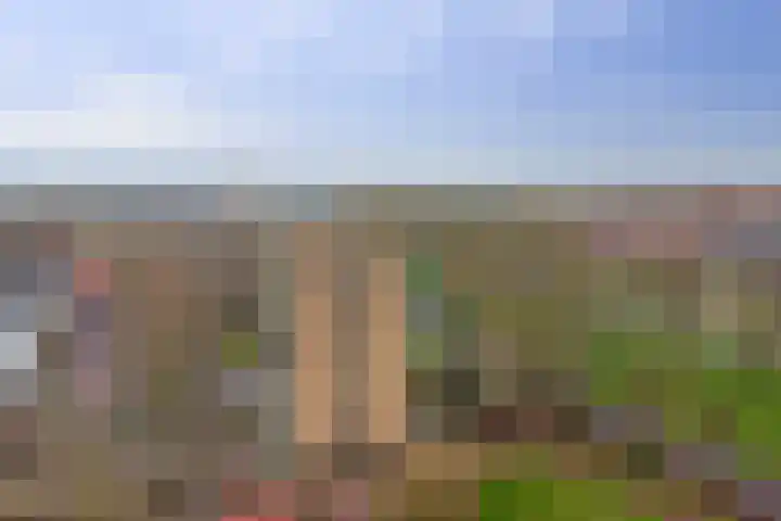 Klaverlaan 6 Arnhem thumbnail 35