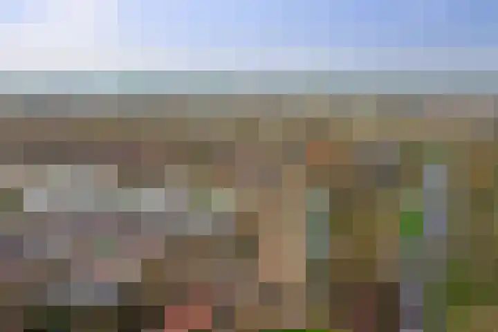 Klaverlaan 6 Arnhem thumbnail 37