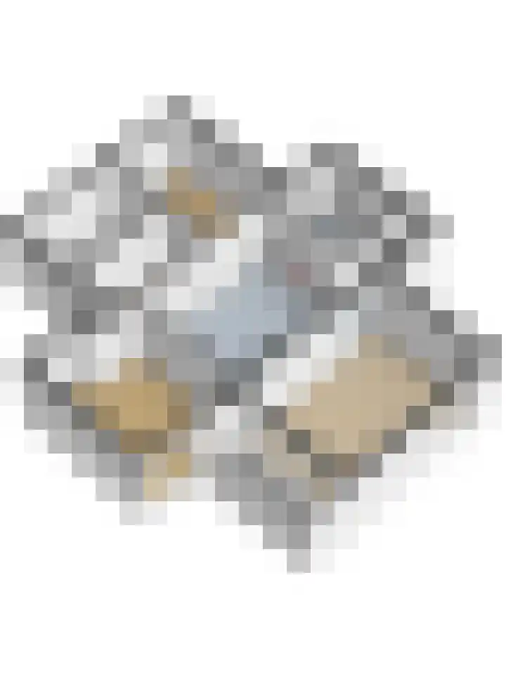 Klaverlaan 6 Arnhem thumbnail 39