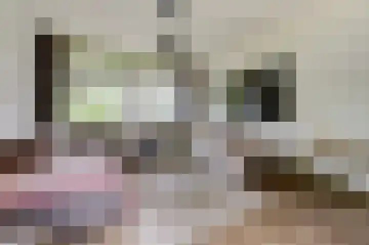 Klaverlaan 6 Arnhem thumbnail 5