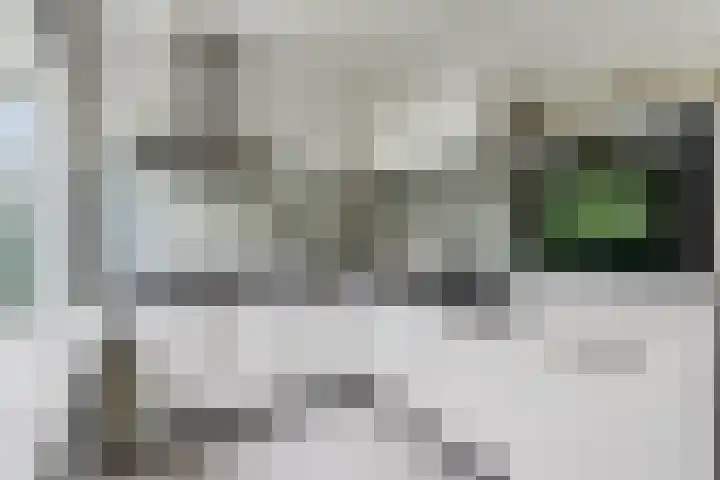 Klaverlaan 60 Arnhem thumbnail 22