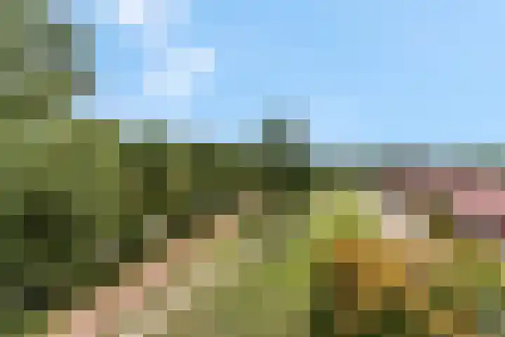 Klaverlaan 60 Arnhem thumbnail 26