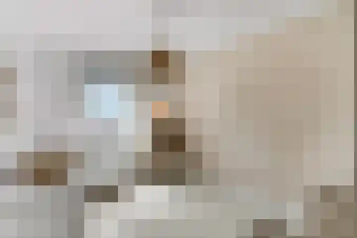 Klaverlaan 60 Arnhem thumbnail 39