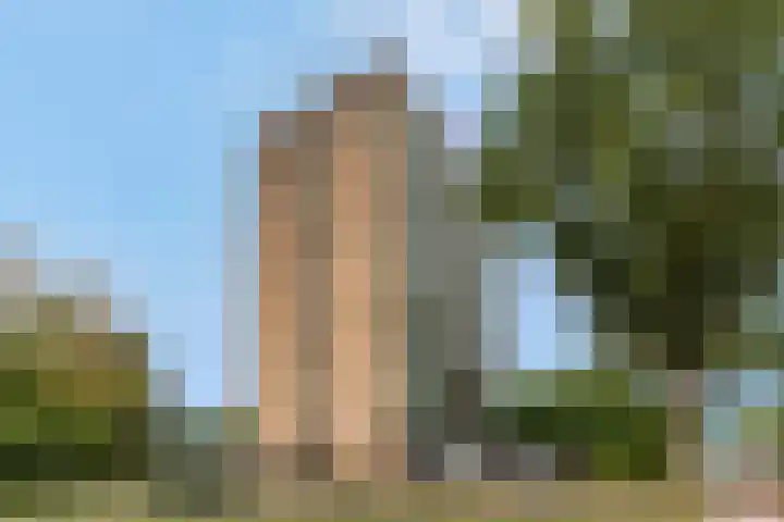 Klaverlaan 60 Arnhem thumbnail 45
