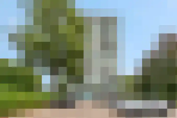 Klaverlaan 60 Arnhem thumbnail 46