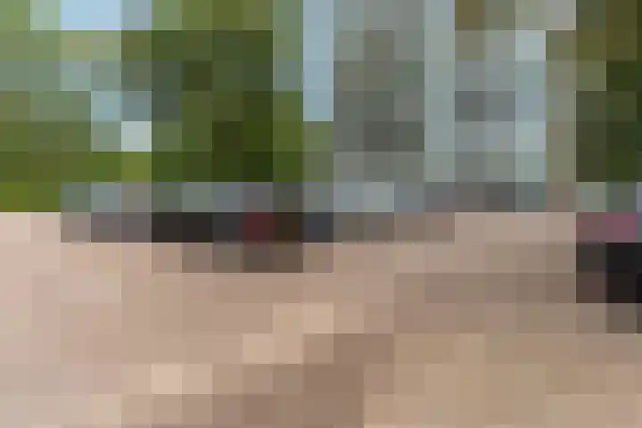 Klaverlaan 60 Arnhem thumbnail 47