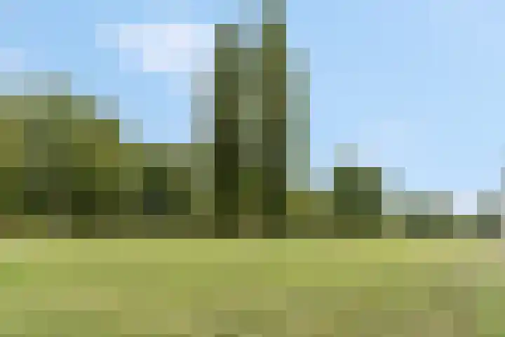 Klaverlaan 60 Arnhem thumbnail 48