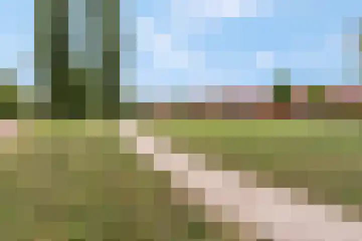 Klaverlaan 60 Arnhem thumbnail 49