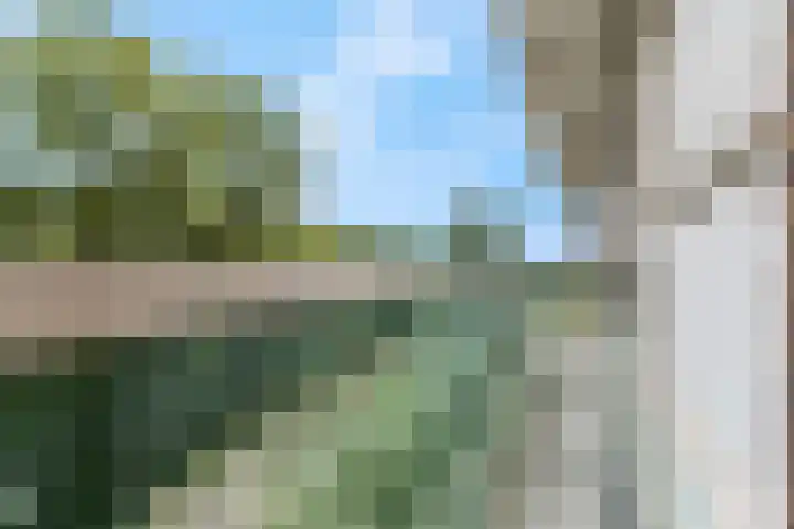 Klaverlaan 60 Arnhem thumbnail 5