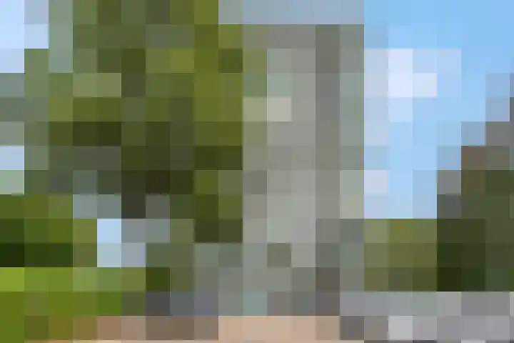 Klaverlaan 60 Arnhem thumbnail 6