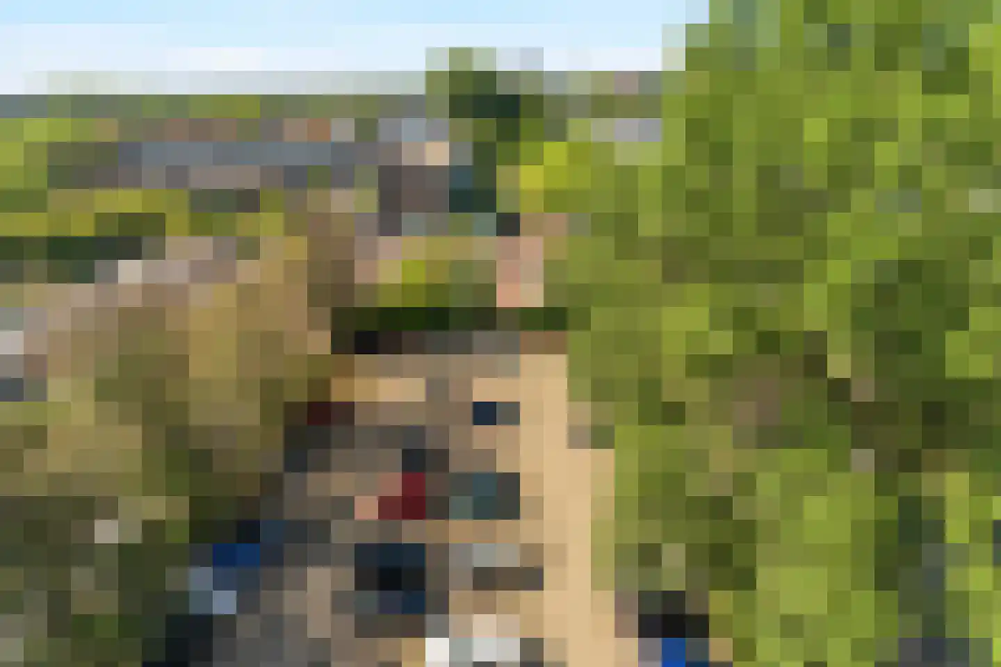 Klaverlaan 86 Arnhem thumbnail 18