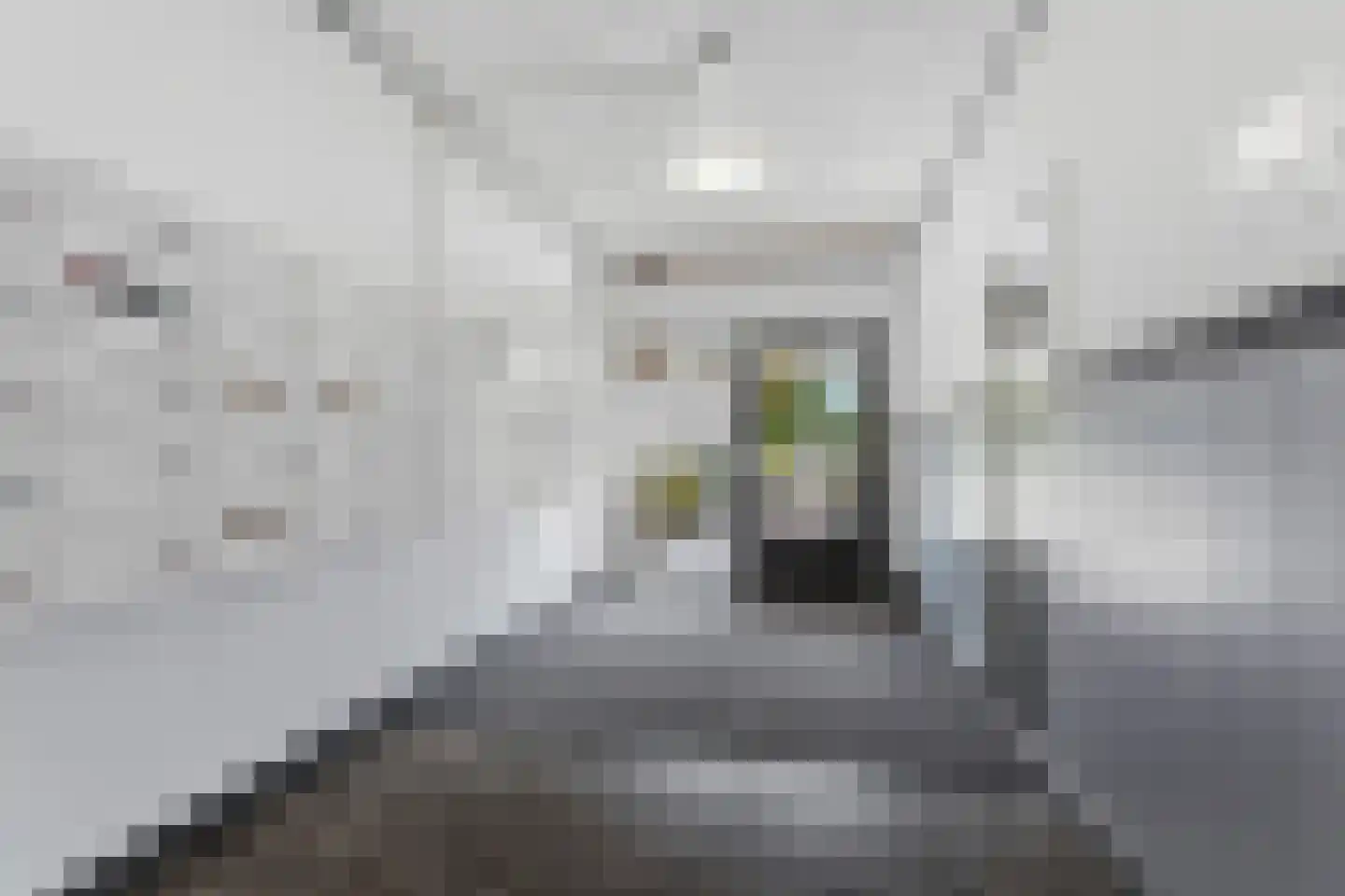 Klaverlaan 86 Arnhem thumbnail 30
