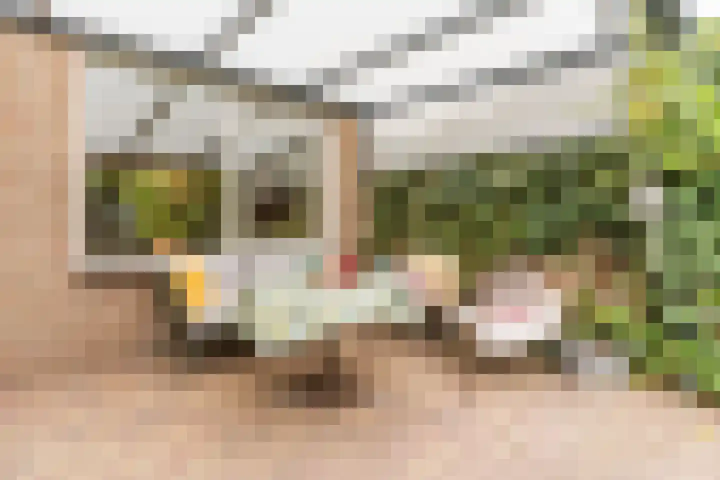 Klaverland 5 Geldrop thumbnail 44