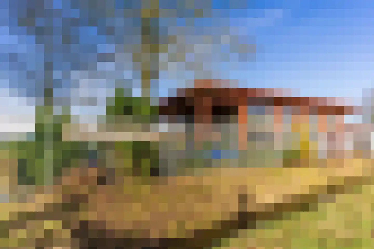 Klaverland 5 Geldrop thumbnail 54