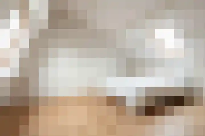 Klavermeen 25 Harderwijk thumbnail 25