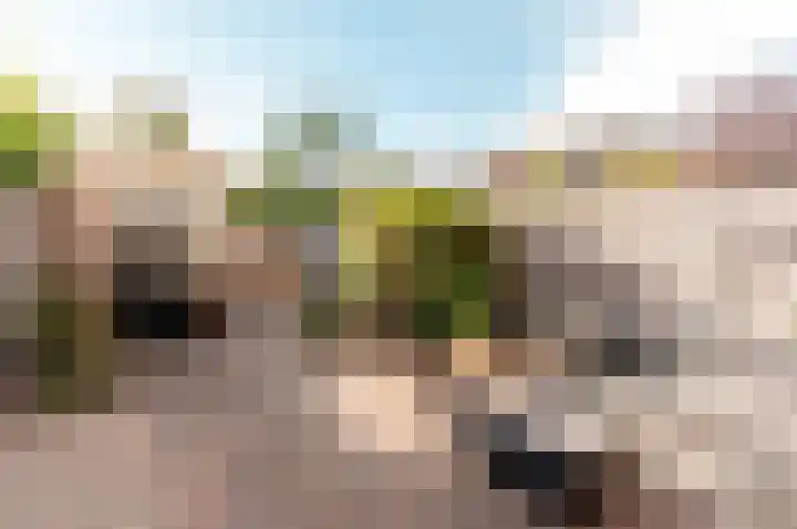 Klavermeen 25 Harderwijk thumbnail 26