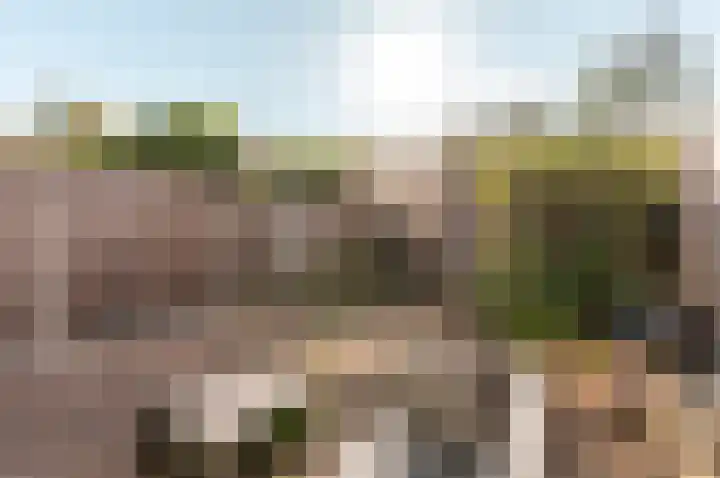 Klavermeen 25 Harderwijk thumbnail 27