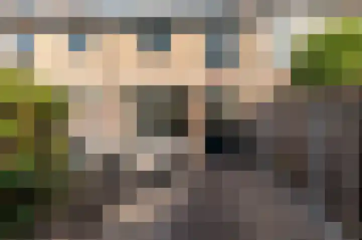 Klavermeen 25 Harderwijk thumbnail 28