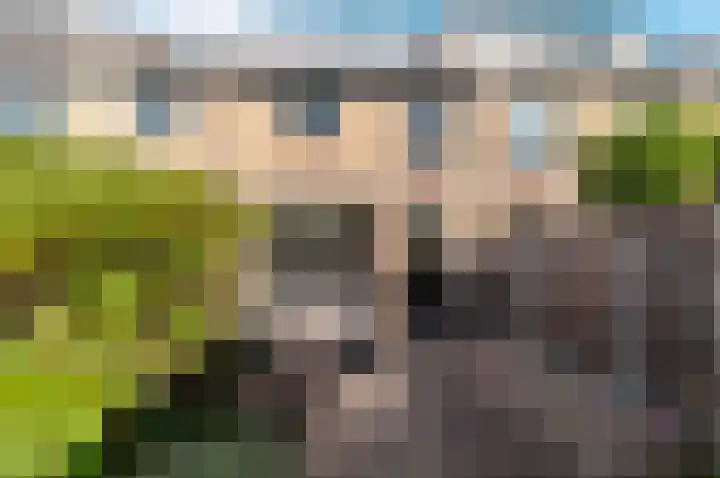 Klavermeen 25 Harderwijk thumbnail 29