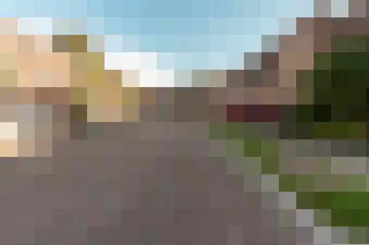 Klavermeen 25 Harderwijk thumbnail 32