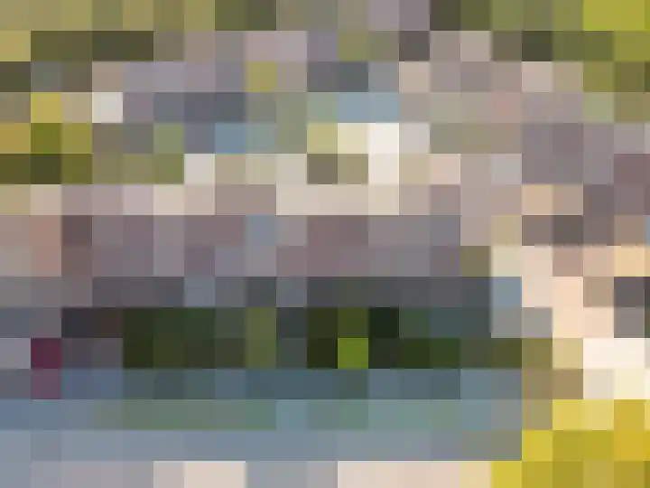 Klavermeen 25 Harderwijk thumbnail 33