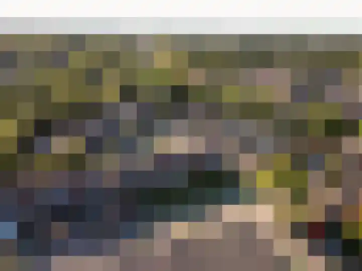 Klavermeen 25 Harderwijk thumbnail 35