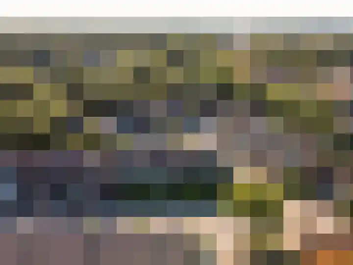 Klavermeen 25 Harderwijk thumbnail 36
