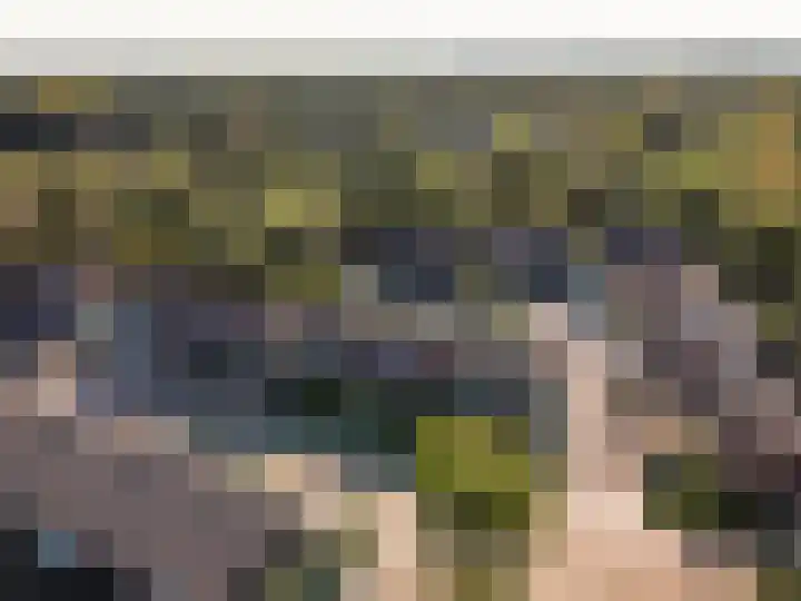 Klavermeen 25 Harderwijk thumbnail 37