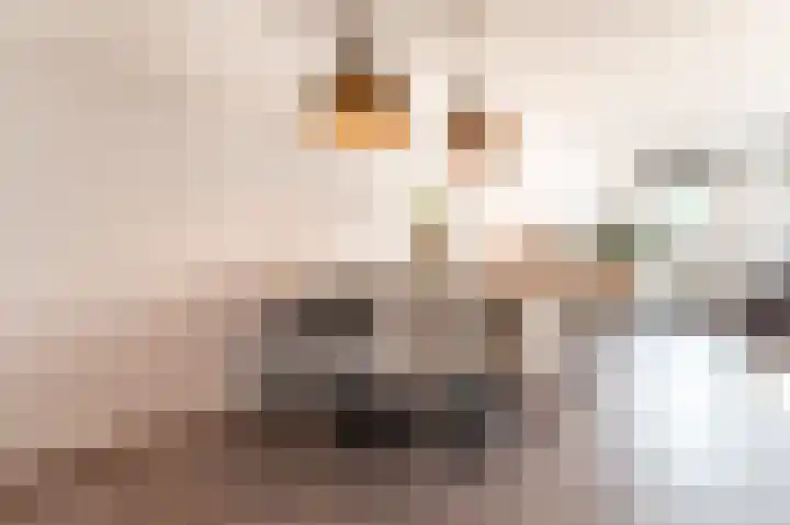 Klavermeen 25 Harderwijk thumbnail 6