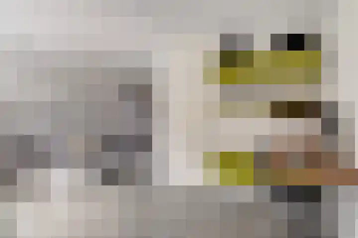 Klaverpad 14 Goes thumbnail 10