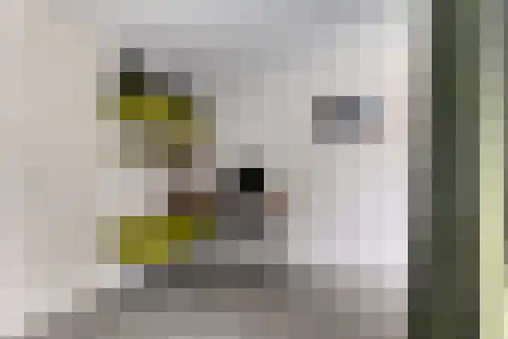 Klaverpad 14 Goes thumbnail 11