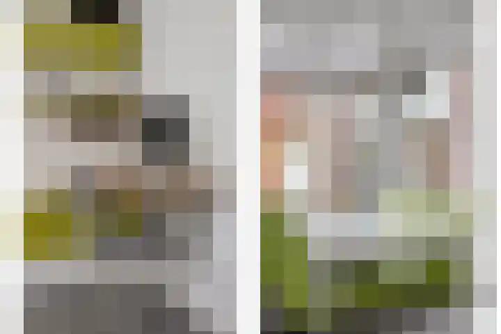 Klaverpad 14 Goes thumbnail 12