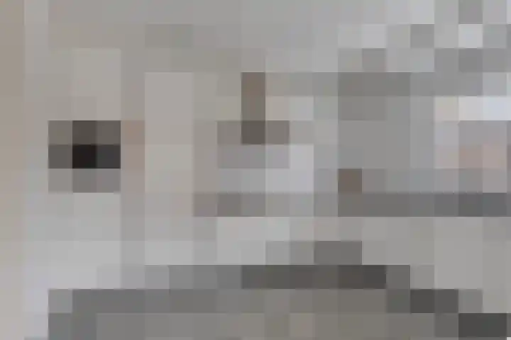 Klaverpad 14 Goes thumbnail 13
