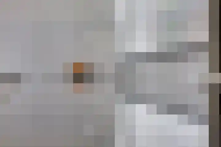 Klaverpad 14 Goes thumbnail 14
