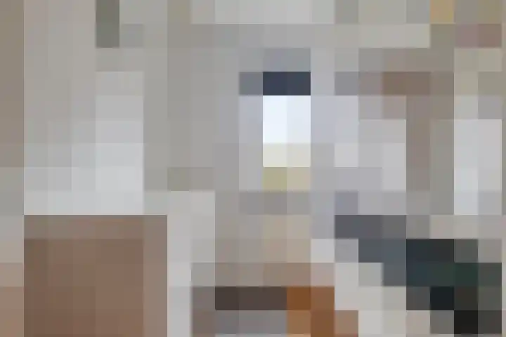 Klaverpad 14 Goes thumbnail 28