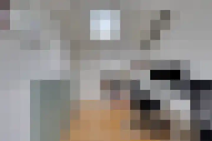 Klaverpad 14 Goes thumbnail 33